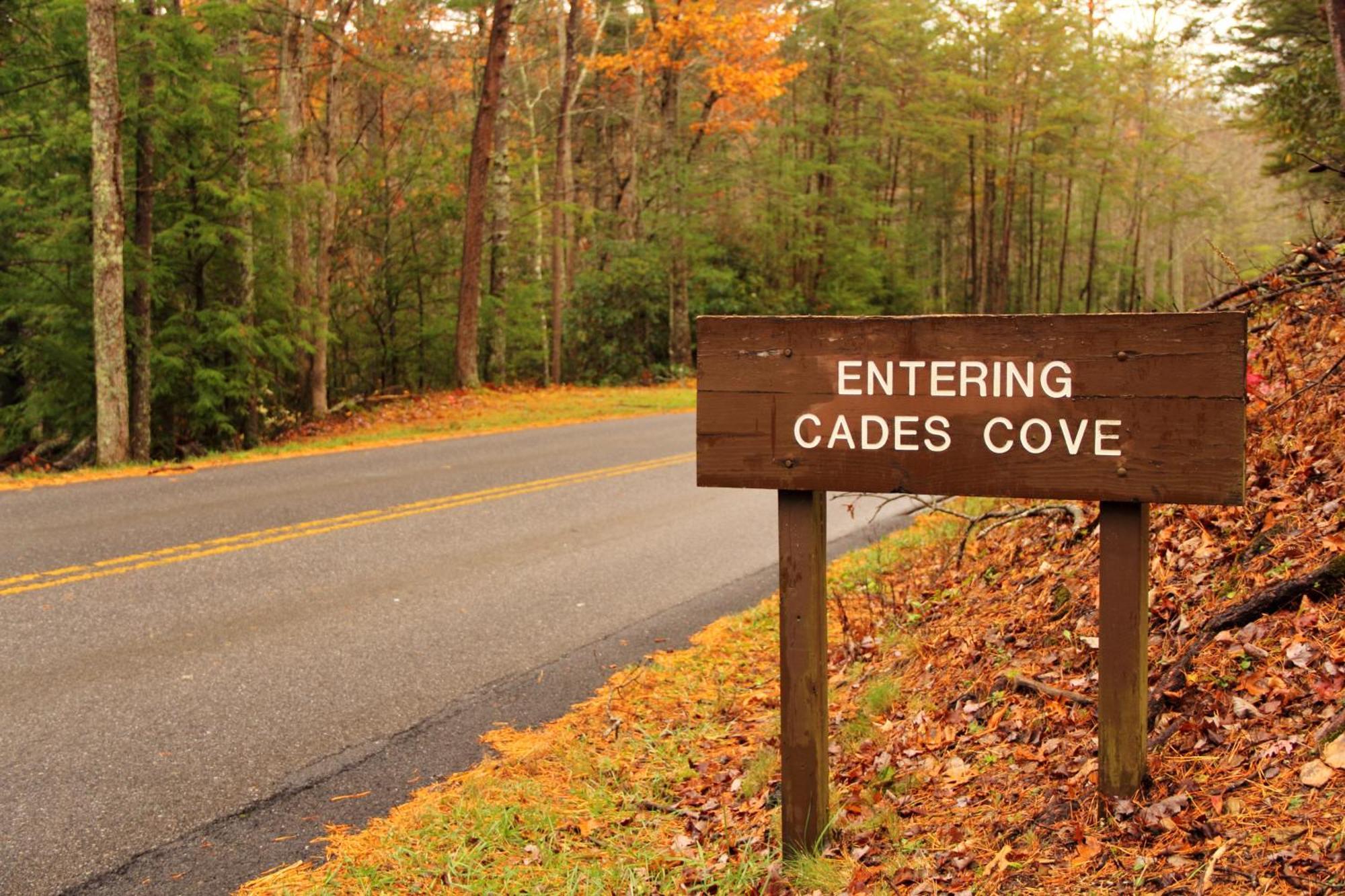 The Cozy Cove, Hot Tub, Wifi, 1089 Free Tickets Each Paid Day, Dollywood And More Sevierville Exterior foto